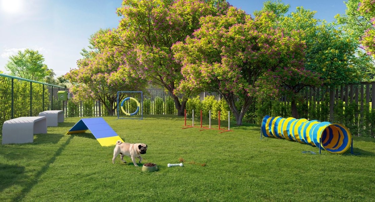 Espaço pet dog park do Lusa Sintra com obstáculos para cães — Gravataí RS